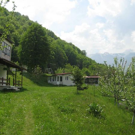Bungalows Zdravets Berkovitsa Exteriör bild