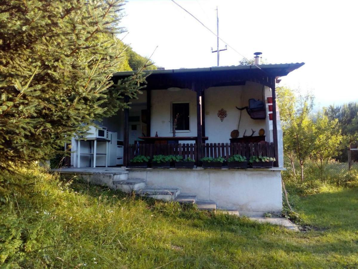 Bungalows Zdravets Berkovitsa Exteriör bild