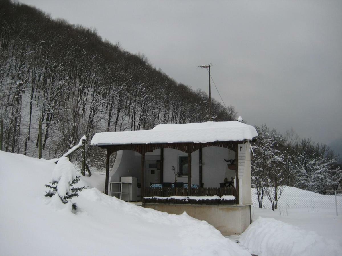 Bungalows Zdravets Berkovitsa Exteriör bild