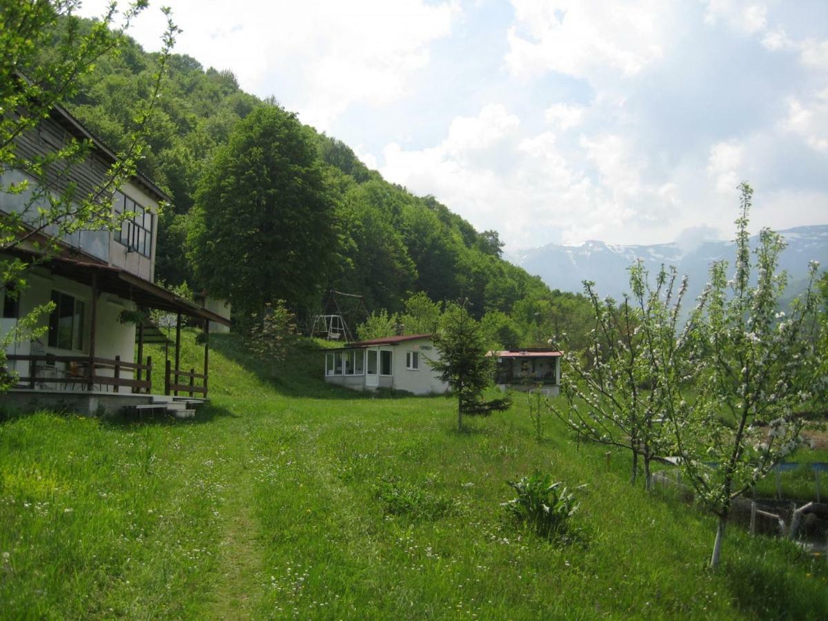 Bungalows Zdravets Berkovitsa Exteriör bild