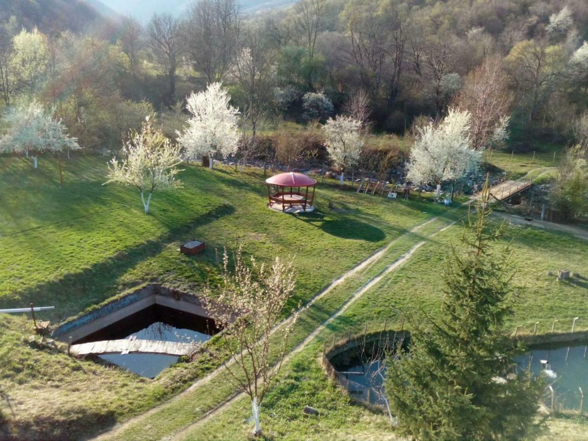 Bungalows Zdravets Berkovitsa Exteriör bild