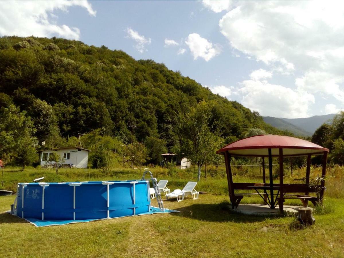 Bungalows Zdravets Berkovitsa Exteriör bild