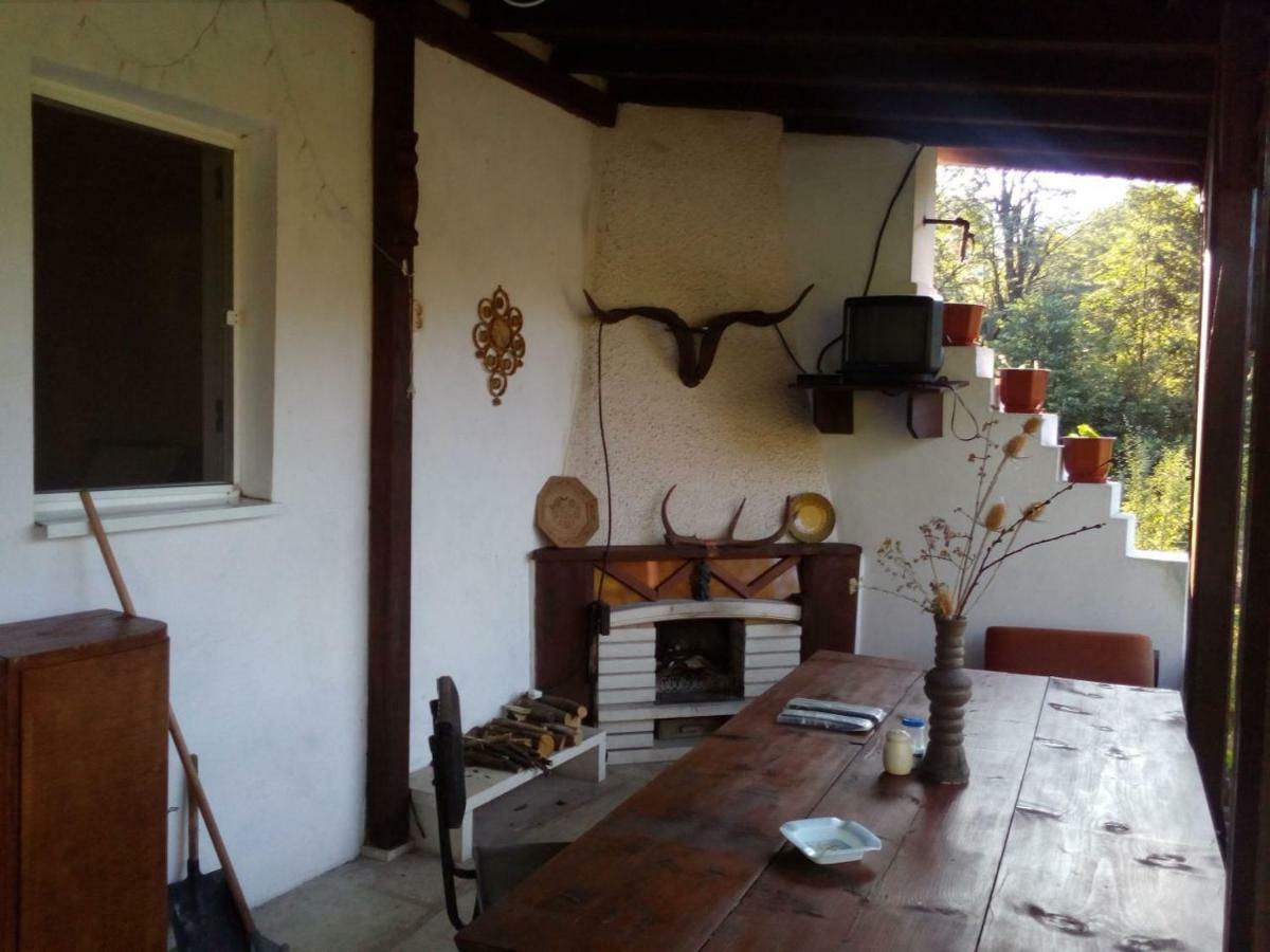 Bungalows Zdravets Berkovitsa Exteriör bild