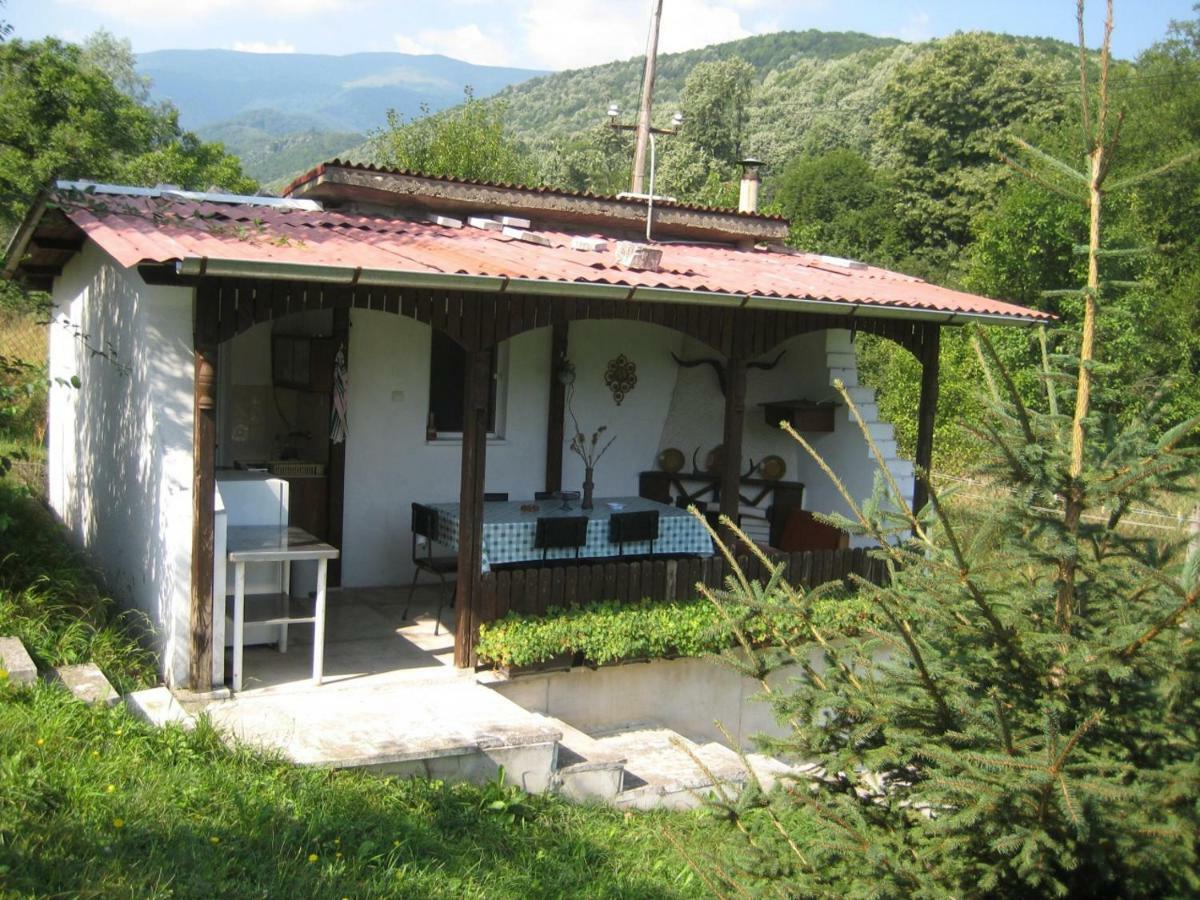 Bungalows Zdravets Berkovitsa Exteriör bild