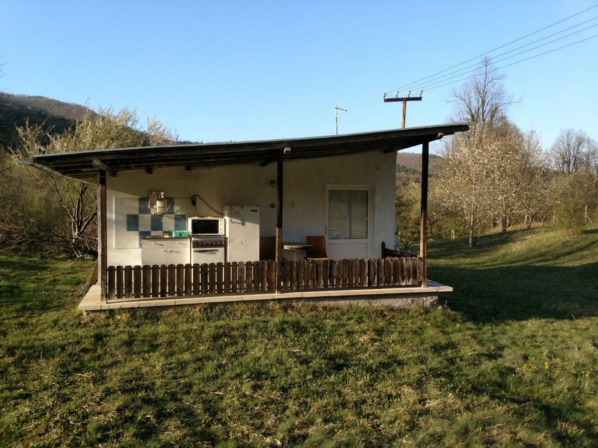 Bungalows Zdravets Berkovitsa Exteriör bild