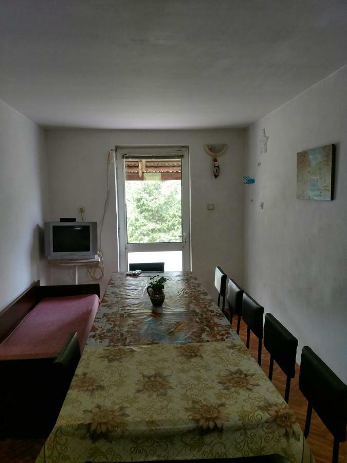 Bungalows Zdravets Berkovitsa Exteriör bild