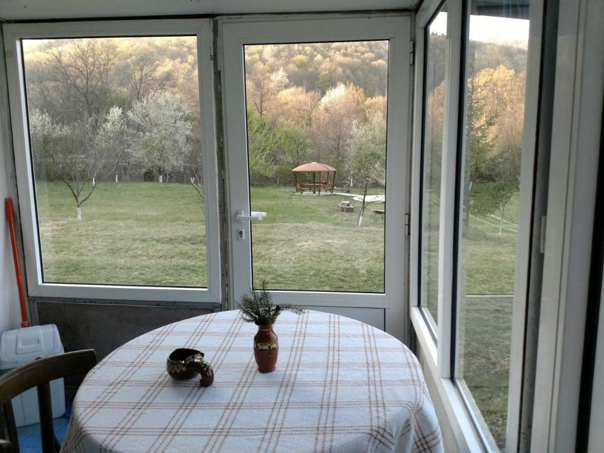 Bungalows Zdravets Berkovitsa Exteriör bild