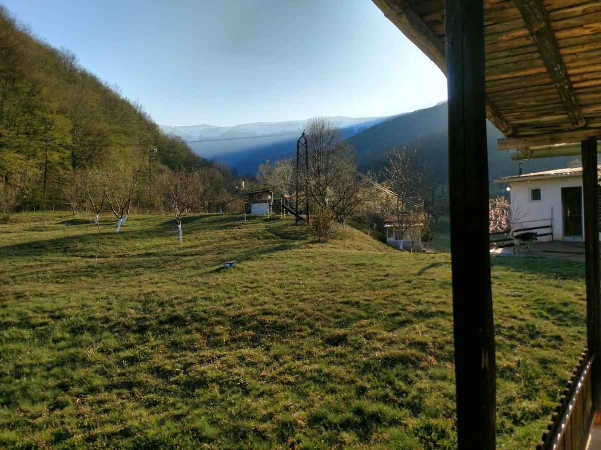 Bungalows Zdravets Berkovitsa Exteriör bild