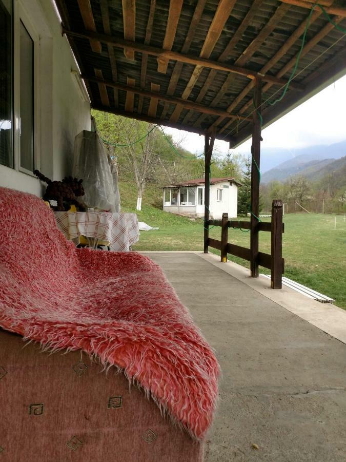 Bungalows Zdravets Berkovitsa Exteriör bild
